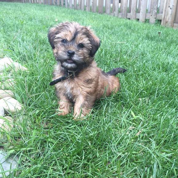 Meet your Posher, Katherine - Picture 1 of 1